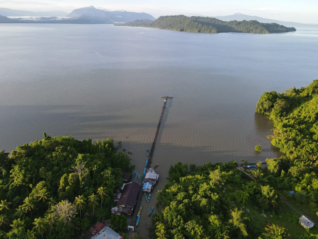 Teluk Arguni