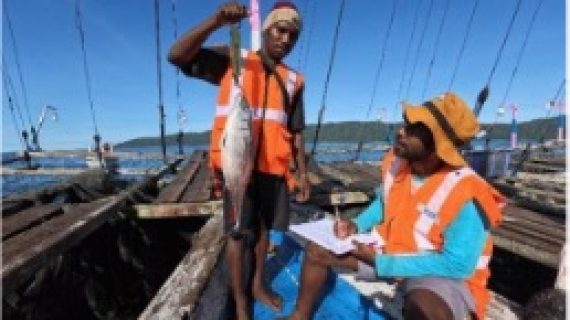 Oleh-oleh dan Cendramata Khas Kaimana, Papua Barat Indonesia